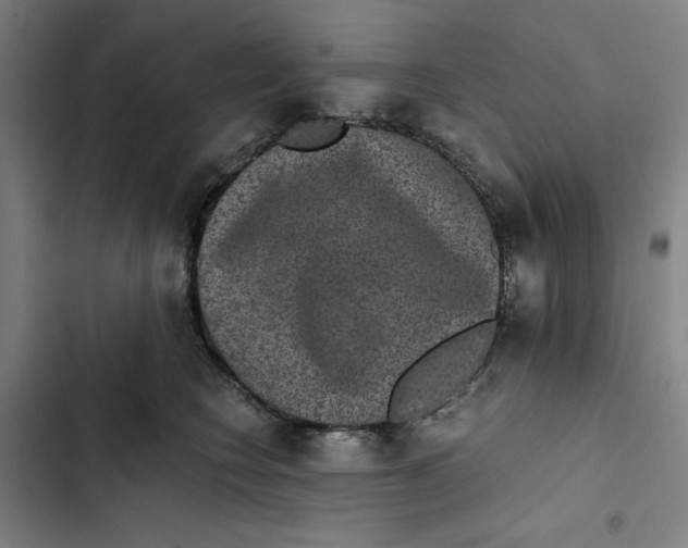 X0000102340566200808291140