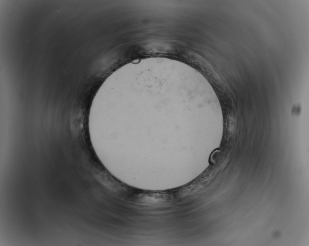 X0000102340567200808291140
