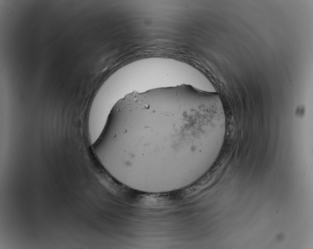 X0000102340568200808291140
