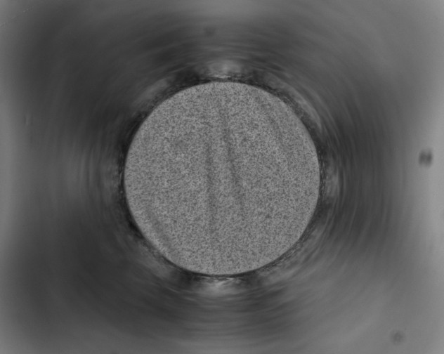 X0000102340569200808291140