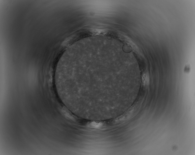 X0000102340570200808291140