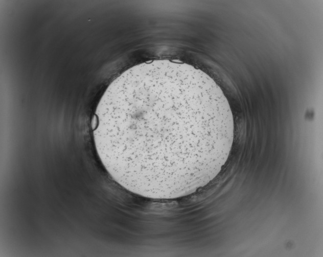 X0000102340571200808291140