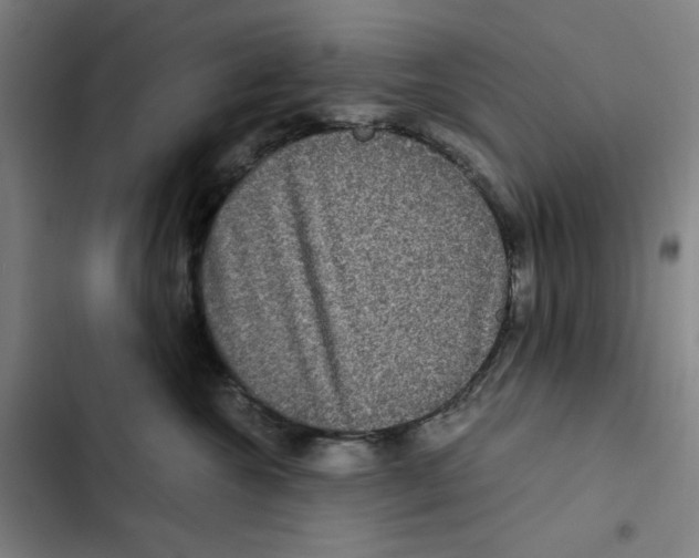 X0000102340572200808291140