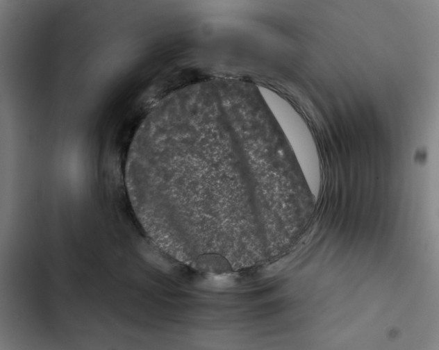 X0000102340573200808291140