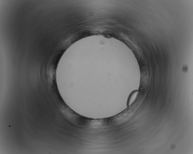 X0000102340574200808291140