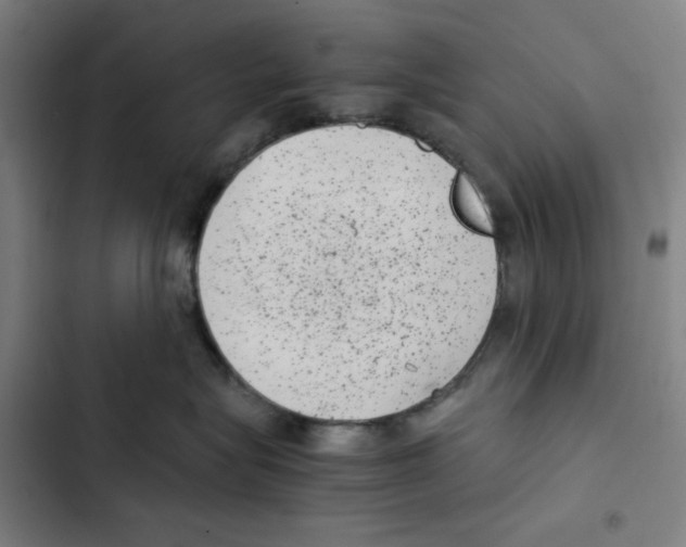 X0000102340575200808291140