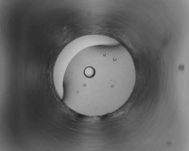 X0000102340576200808291140