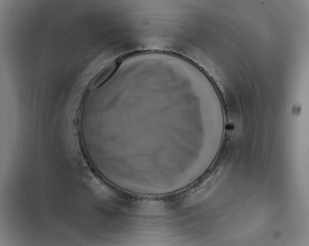 X0000102340577200808291139