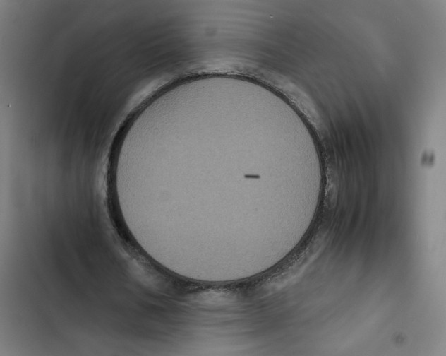 X0000102340578200808291139