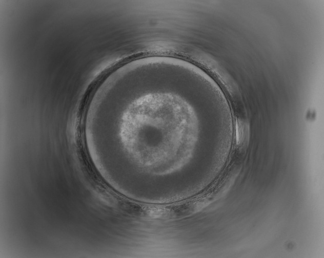 X0000102340579200808291139
