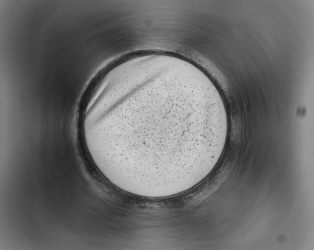 X0000102340580200808291139