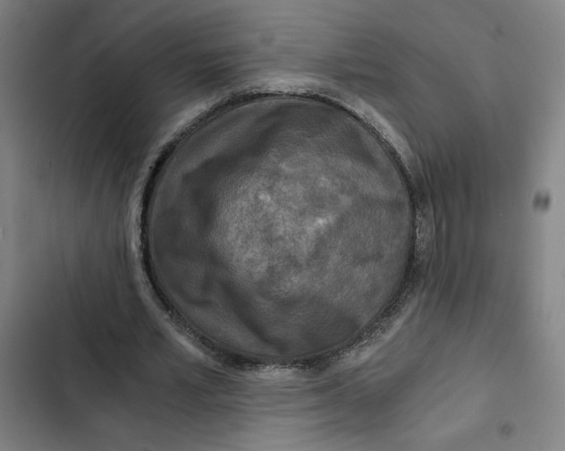 X0000102340581200808291139
