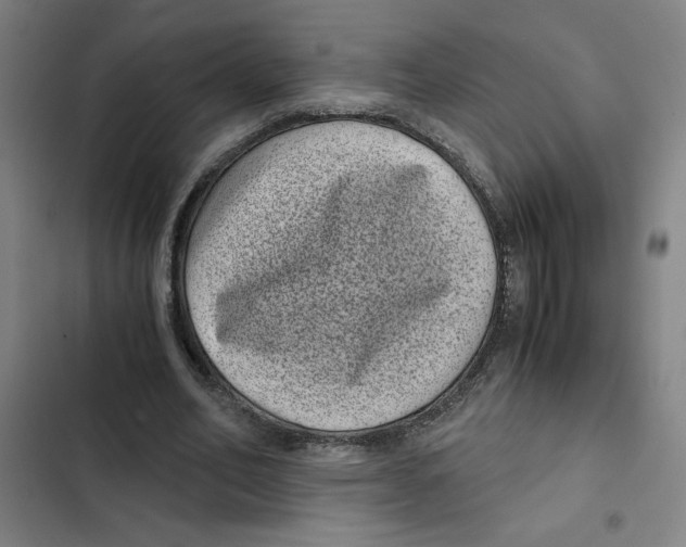 X0000102340582200808291139