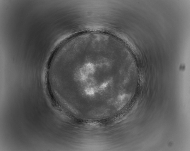 X0000102340583200808291139