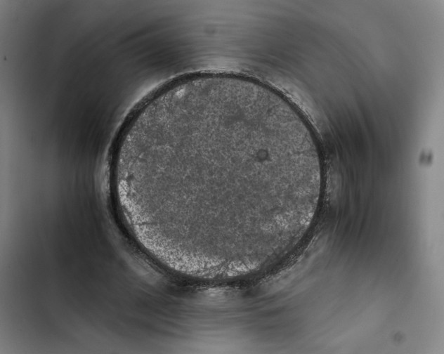 X0000102340584200808291139