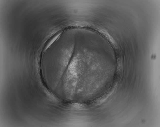 X0000102340585200808291139