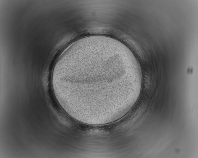 X0000102340586200808291139