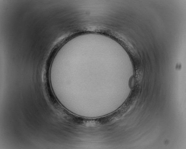 X0000102340587200808291139