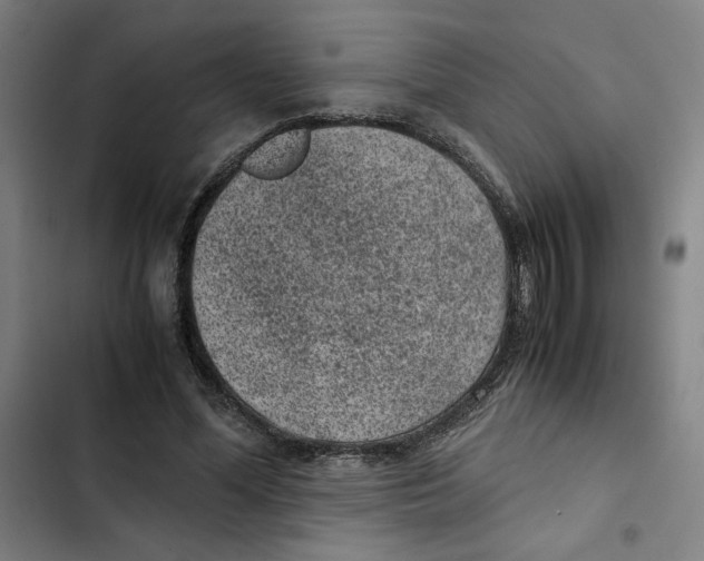 X0000102340588200808291139