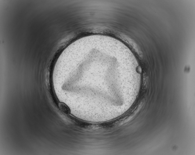 X0000102340589200808291139