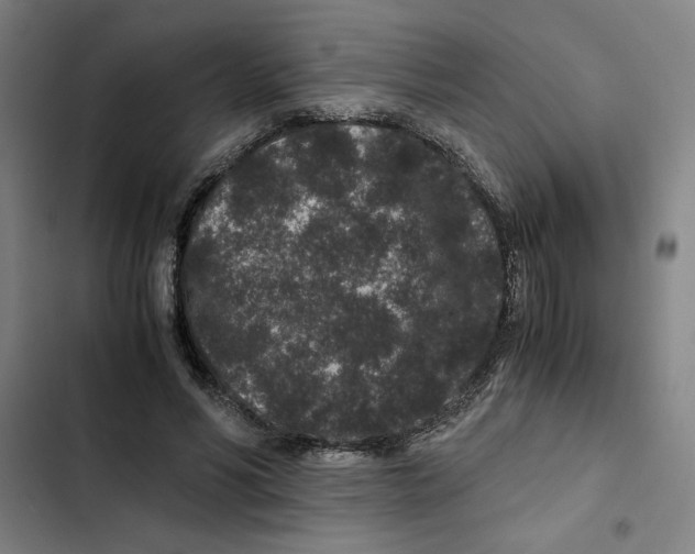 X0000102340590200808291139