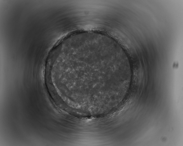 X0000102340592200808291139