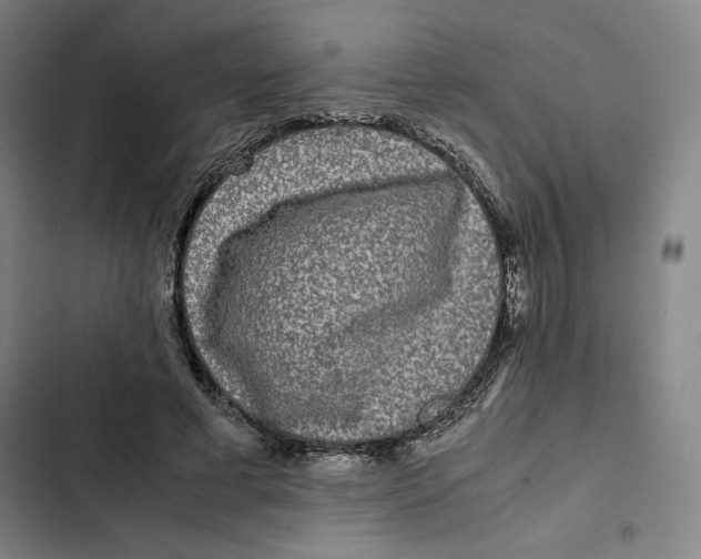 X0000102340593200808291139