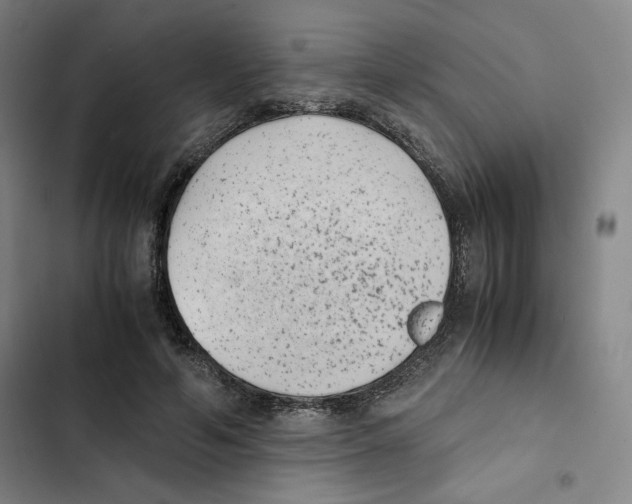 X0000102340594200808291139