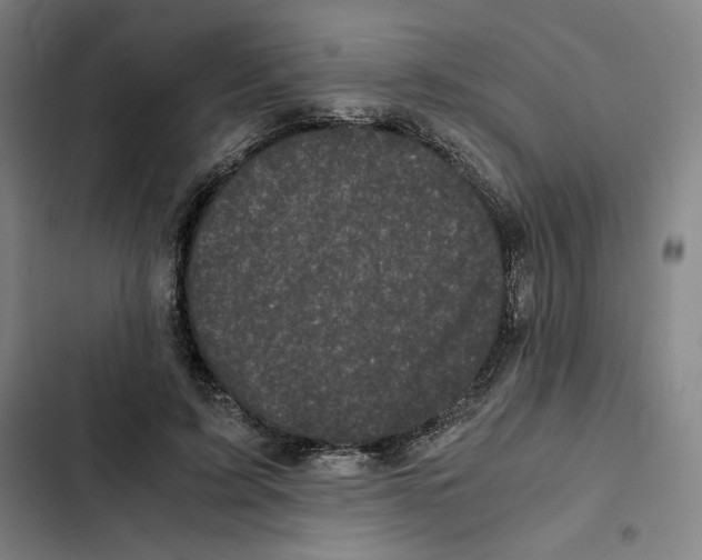 X0000102340595200808291139