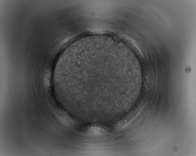 X0000102340596200808291139