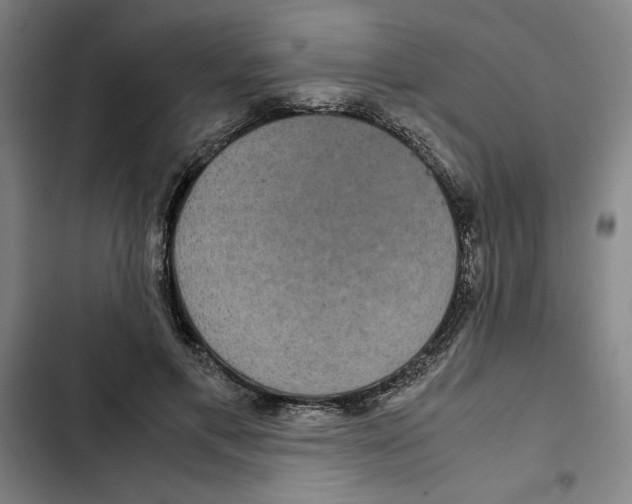 X0000102340597200808291139