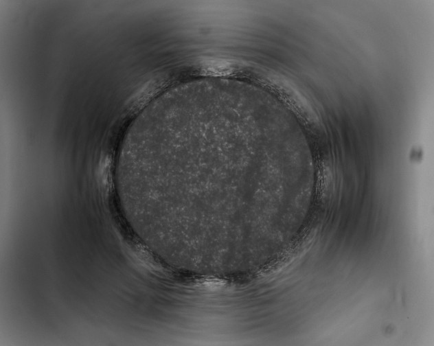 X0000102340598200808291139