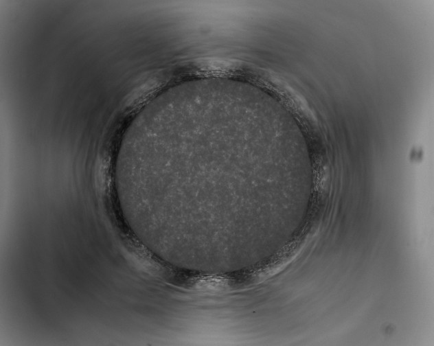 X0000102340599200808291139
