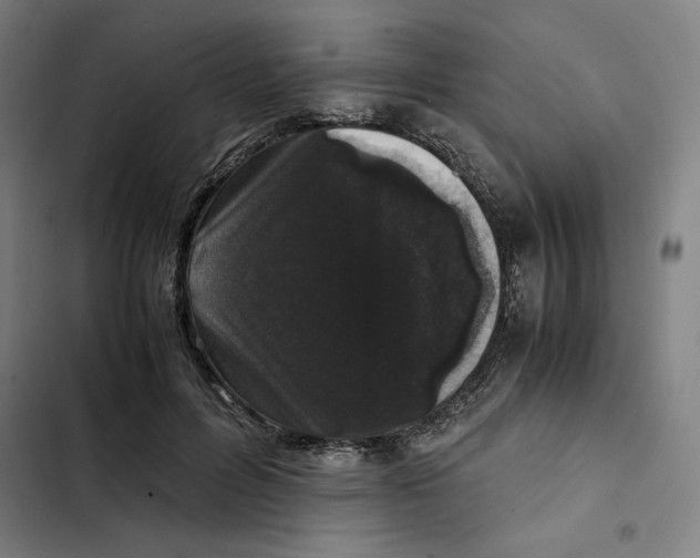 X0000102340600200808291139
