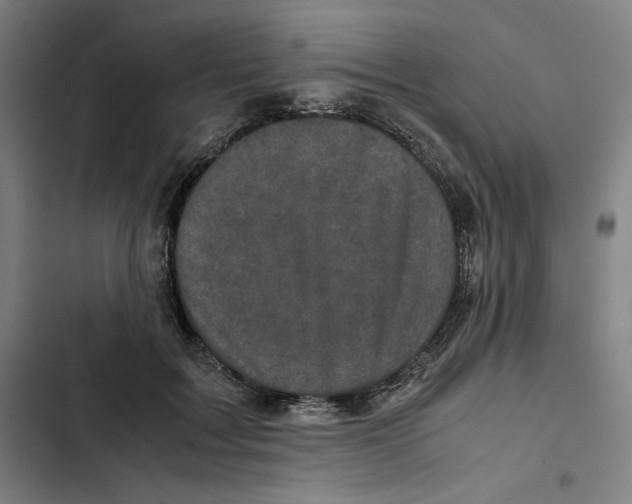 X0000102340603200808291139
