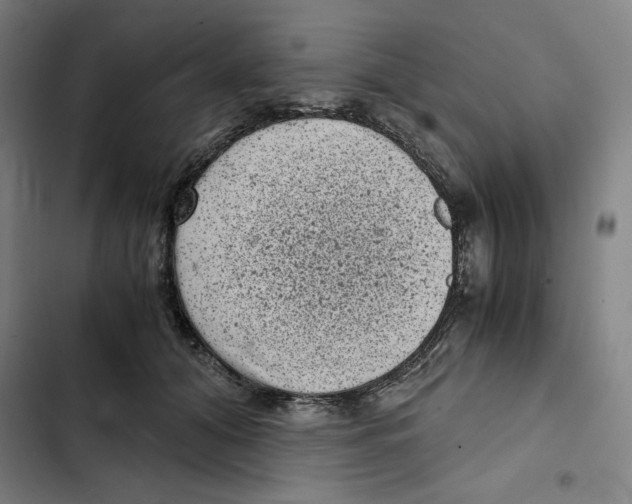 X0000102340608200808291139