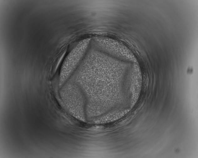 X0000102340609200808291139