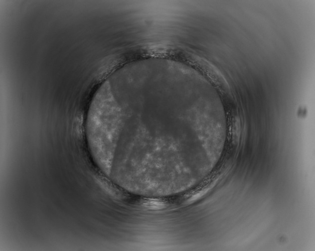 X0000102340610200808291139