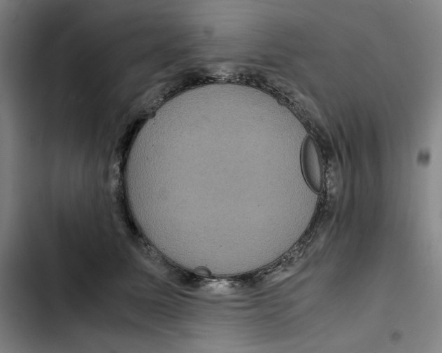 X0000102340611200808291139