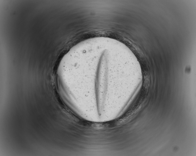 X0000102340613200808291139