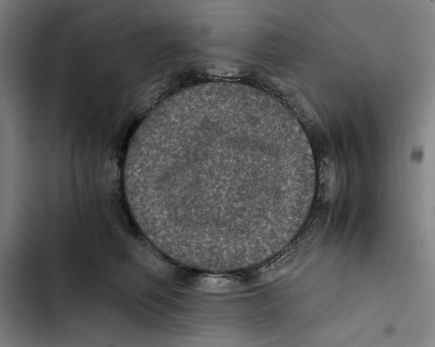 X0000102340614200808291139