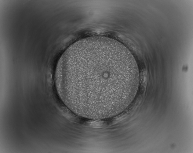 X0000102340615200808291139