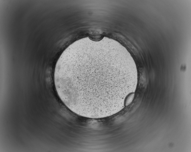 X0000102340616200808291139