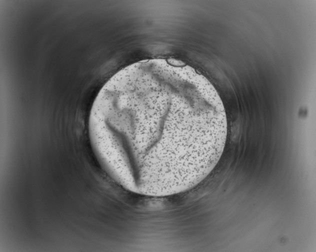 X0000102340618200808291139