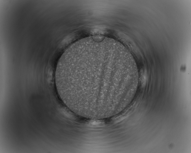 X0000102340619200808291139