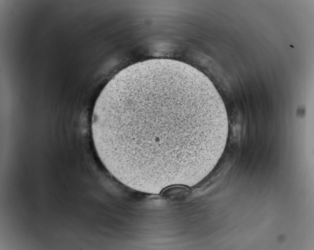 X0000102340620200808291139