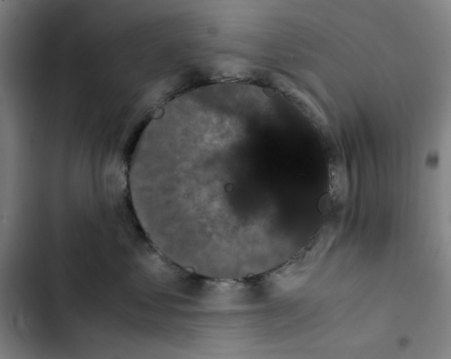 X0000102340621200808291139