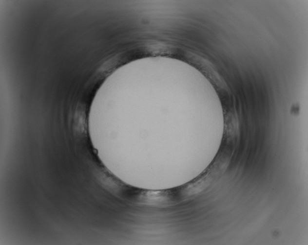 X0000102340622200808291139