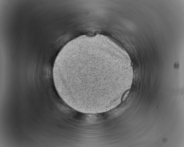 X0000102340623200808291139