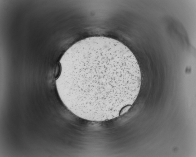 X0000102340624200808291139
